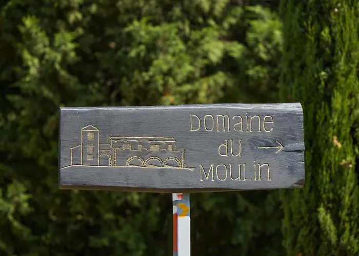 Les Mesanges Du Domaine Du Moulin 31